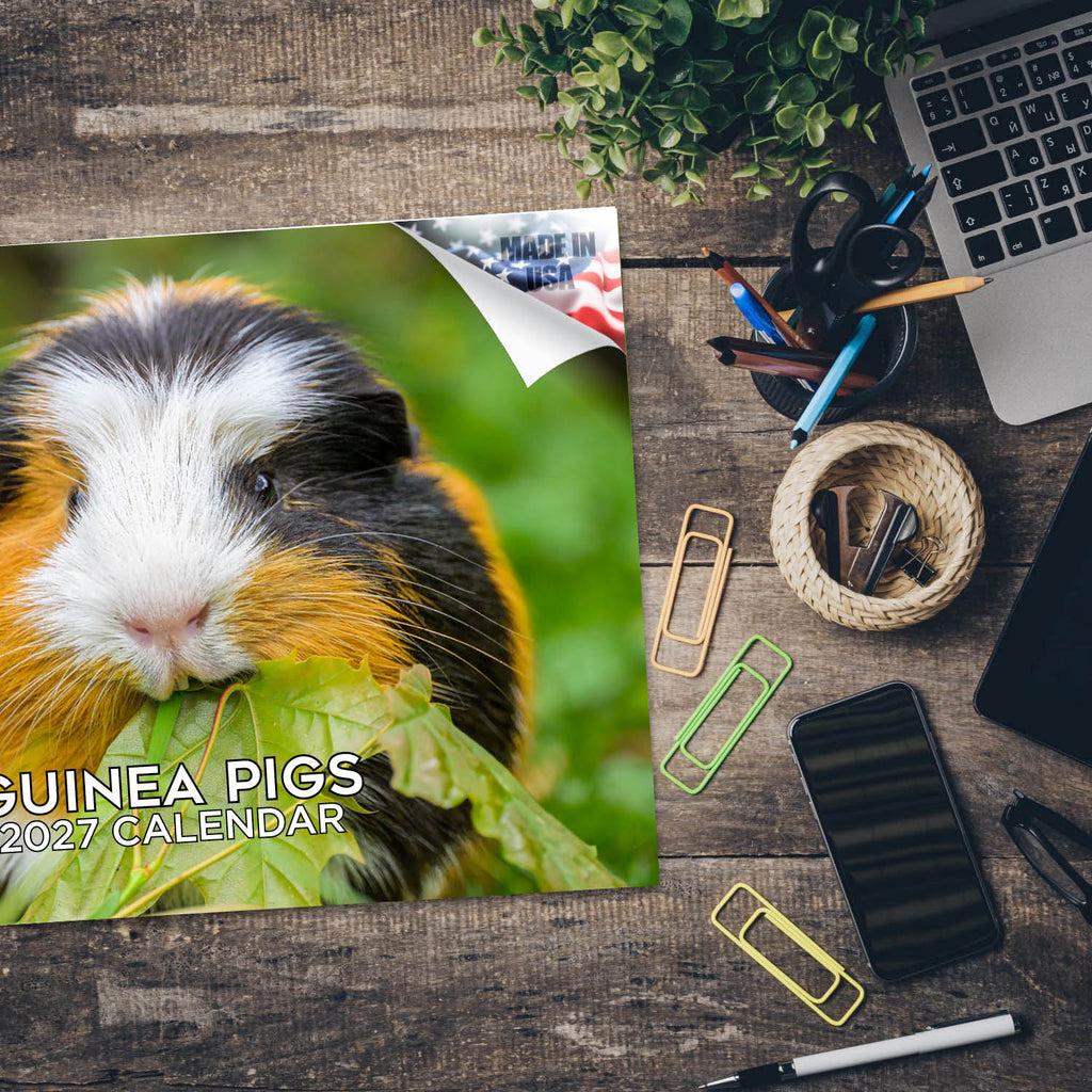 Guinea Pigs Wall Calendar 2027 - 12" x 9" 14-Month Small Pet Calendar