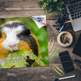 Guinea Pigs Wall Calendar 2027 - 12" x 9" 14-Month Small Pet Calendar