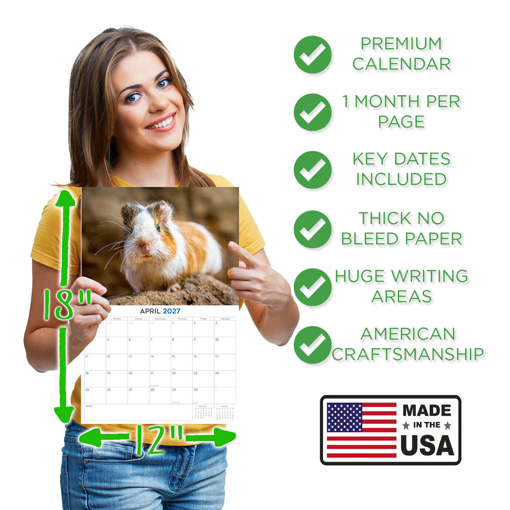 Guinea Pigs Wall Calendar 2027 - 12" x 9" 14-Month Small Pet Calendar
