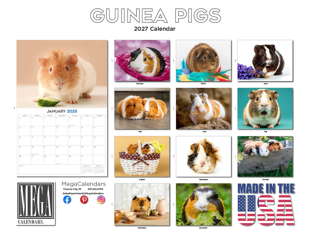 Guinea Pigs Wall Calendar 2027 - 12" x 9" 14-Month Small Pet Calendar