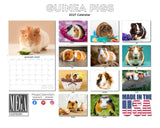 Guinea Pigs Wall Calendar 2027 - 12" x 9" 14-Month Small Pet Calendar
