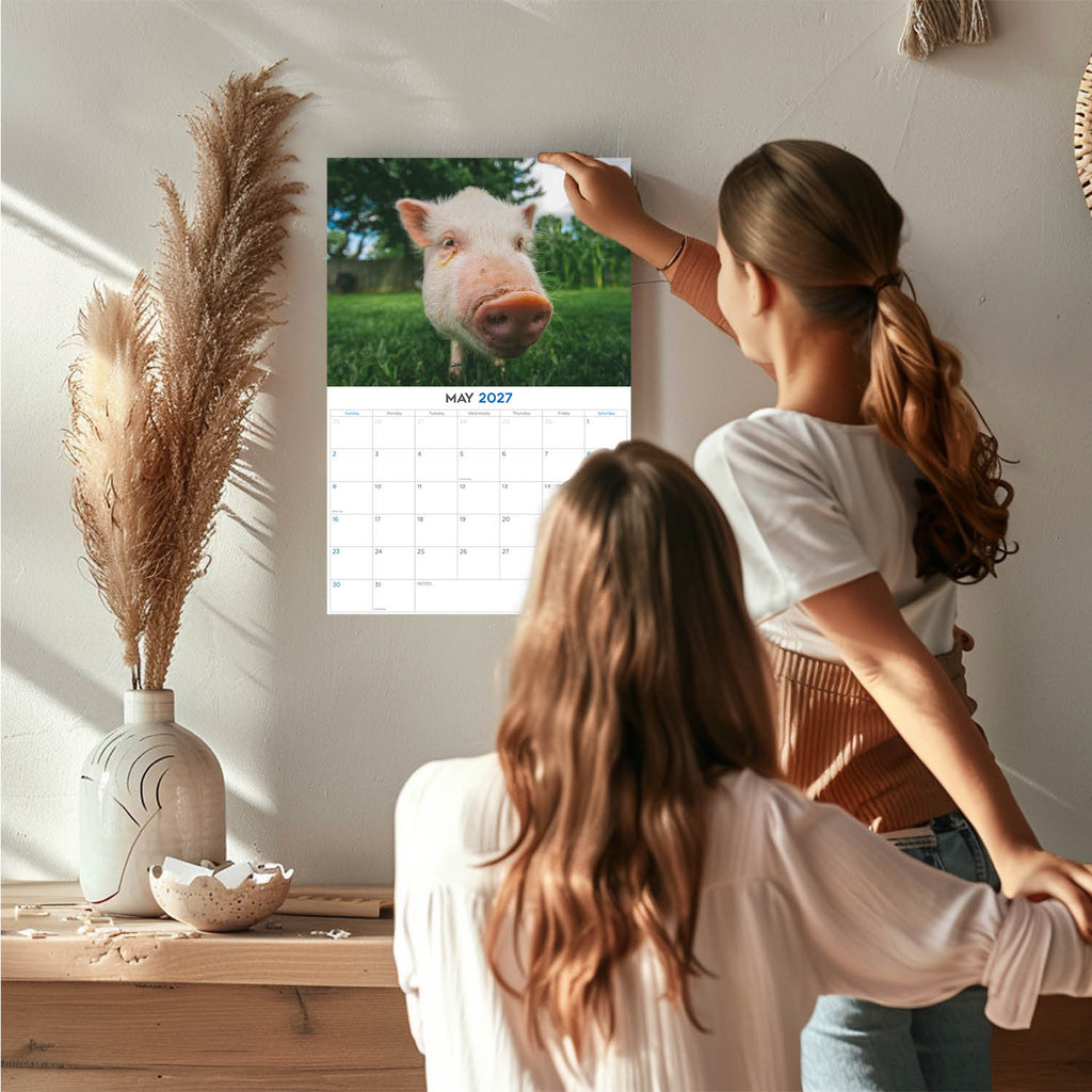 Pigs Wall Calendar 2027 - 12" x 9" 14-Month Farm Animal Calendar