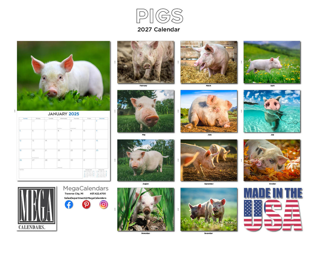 Pigs Wall Calendar 2027 - 12" x 9" 14-Month Farm Animal Calendar