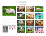 Pigs Wall Calendar 2027 - 12" x 9" 14-Month Farm Animal Calendar