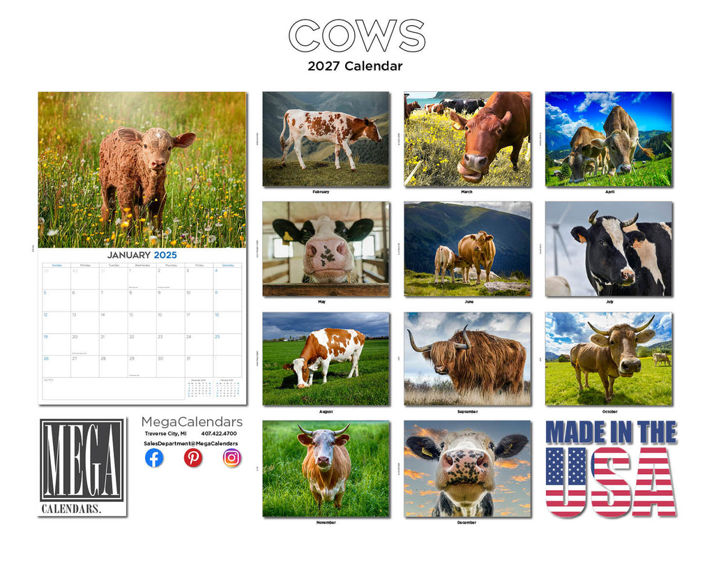 Cows Wall Calendar 2027 - 12" x 9" 14-Month Mixed Cattle Breed Calendar