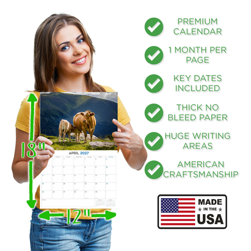 Cows Wall Calendar 2027 - 12" x 9" 14-Month Mixed Cattle Breed Calendar