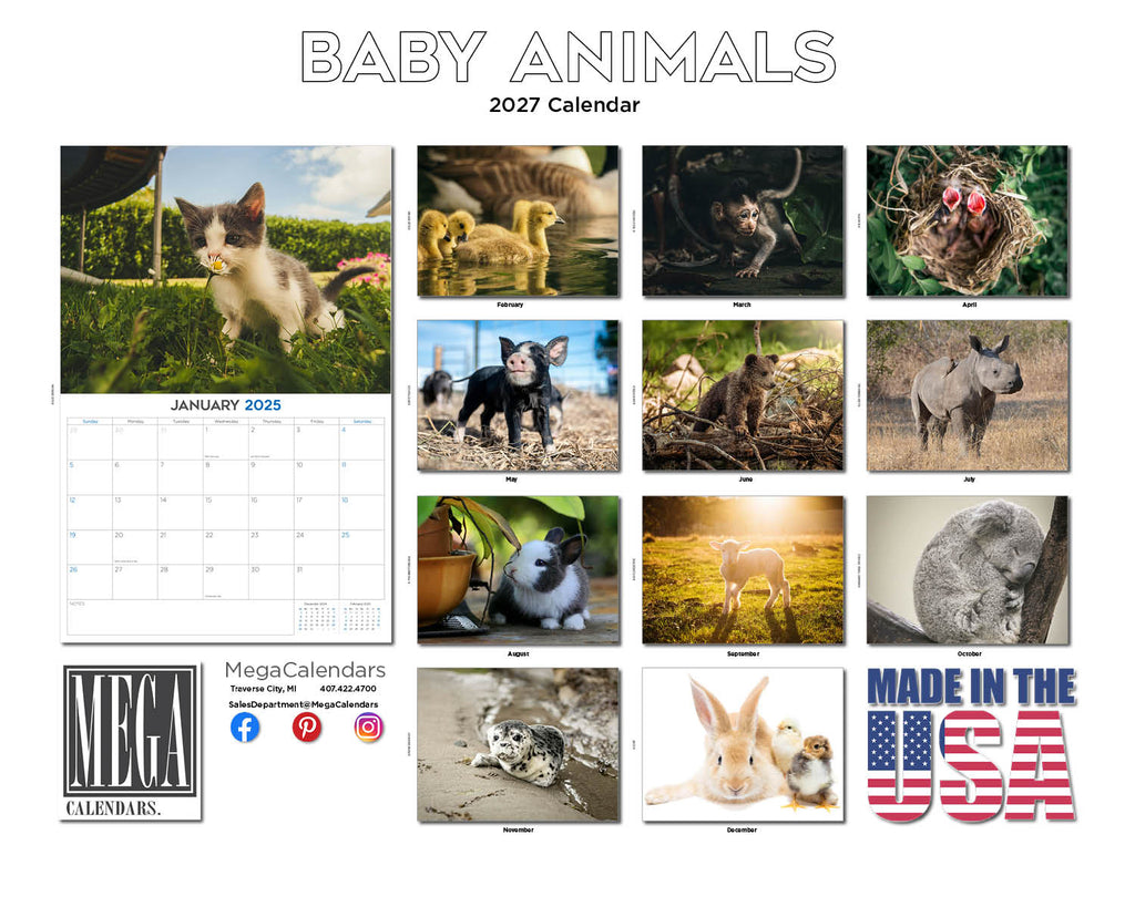 Baby Animals Wall Calendar 2027 - 12" x 9" 14-Month Cute Wildlife Calendar