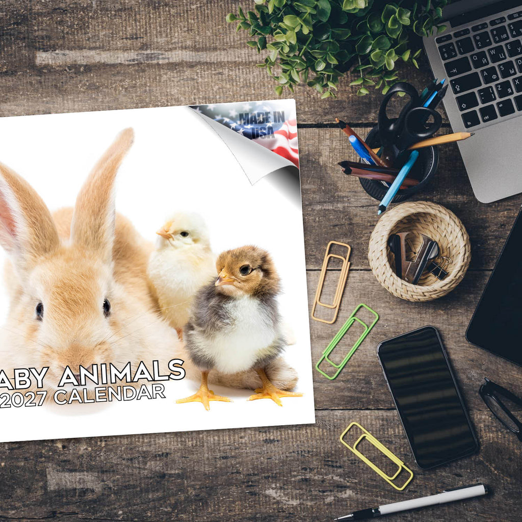 Baby Animals Wall Calendar 2027 - 12" x 9" 14-Month Cute Wildlife Calendar