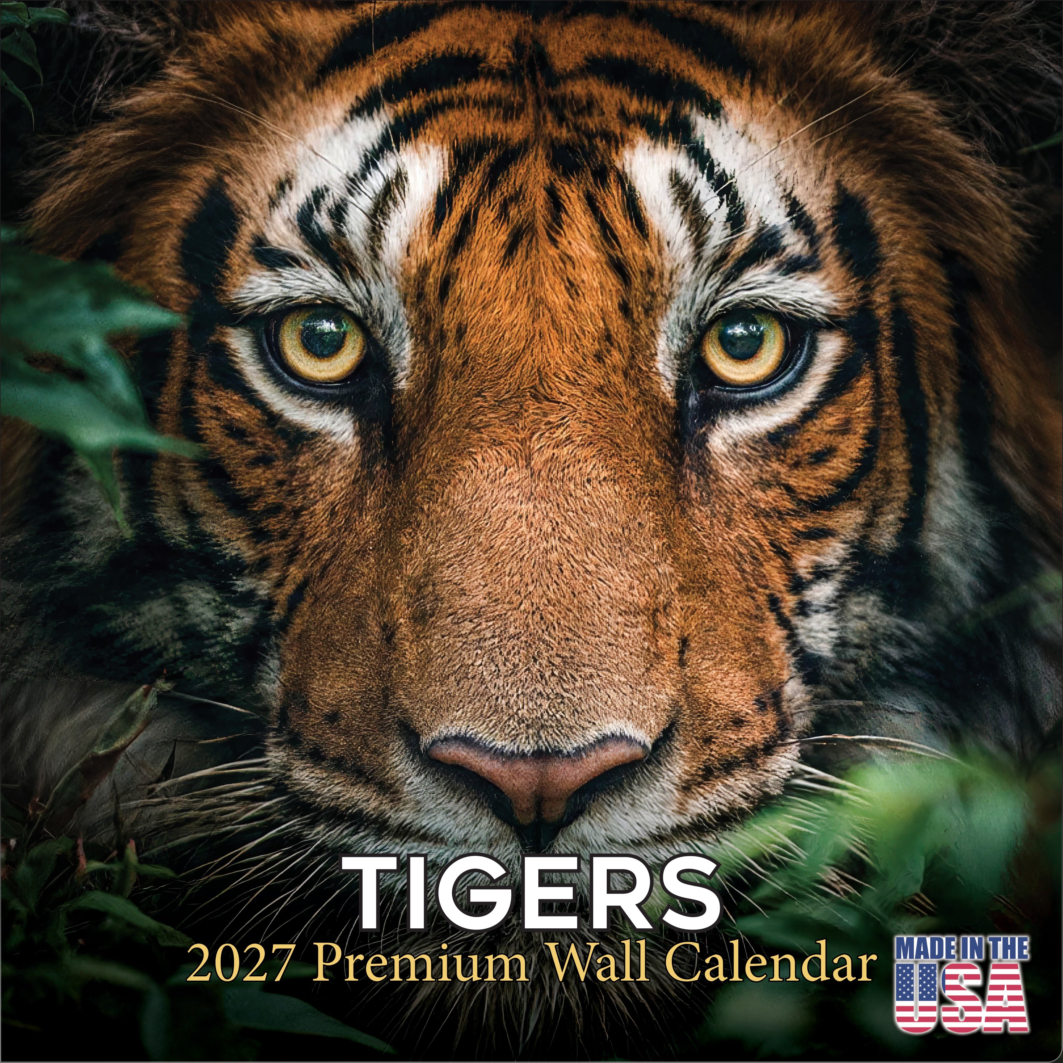 Tigers Wall Calendar 2027 - 12