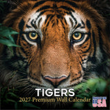 Tigers Wall Calendar 2027 - 12" x 12" Monthly Majestic & Powerful Big Cat Wildlife Nature Calendar