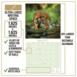 Tigers Wall Calendar 2027 - 12" x 12" Monthly Majestic & Powerful Big Cat Wildlife Nature Calendar