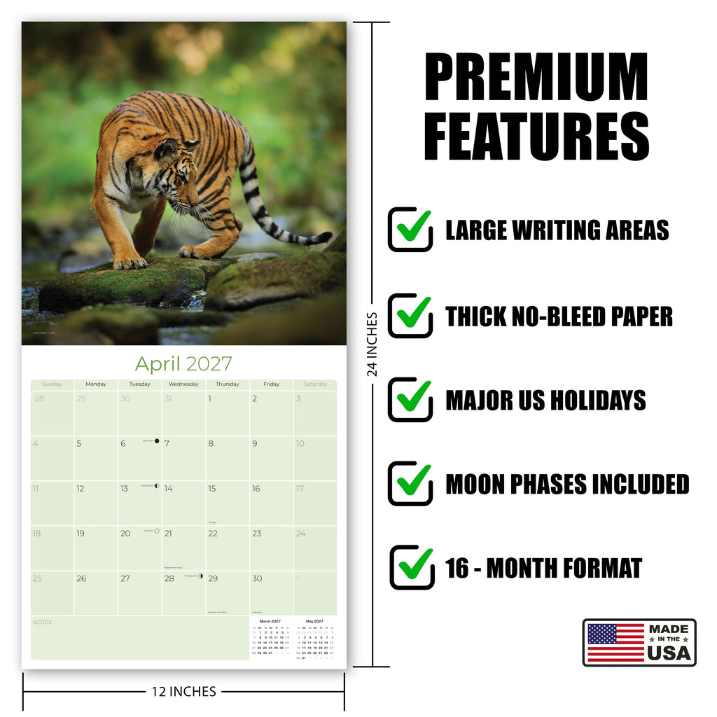 Tigers Wall Calendar 2027 - 12" x 12" Monthly Majestic & Powerful Big Cat Wildlife Nature Calendar