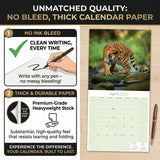 Tigers Wall Calendar 2027 - 12" x 12" Monthly Majestic & Powerful Big Cat Wildlife Nature Calendar