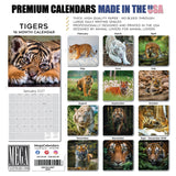 Tigers Wall Calendar 2027 - 12" x 12" Monthly Majestic & Powerful Big Cat Wildlife Nature Calendar