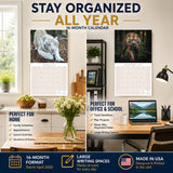 Tigers Wall Calendar 2027 - 12" x 12" Monthly Majestic & Powerful Big Cat Wildlife Nature Calendar