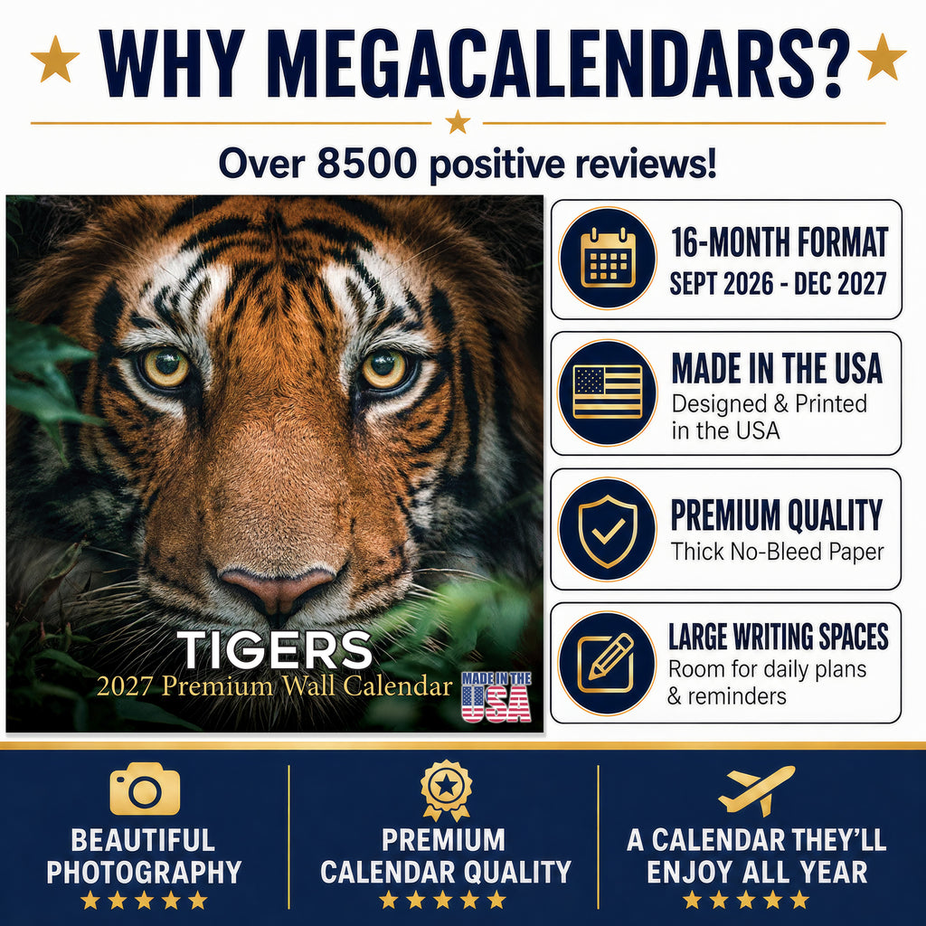 Tigers Wall Calendar 2027 - 12" x 12" Monthly Majestic & Powerful Big Cat Wildlife Nature Calendar