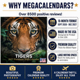 Tigers Wall Calendar 2027 - 12" x 12" Monthly Majestic & Powerful Big Cat Wildlife Nature Calendar