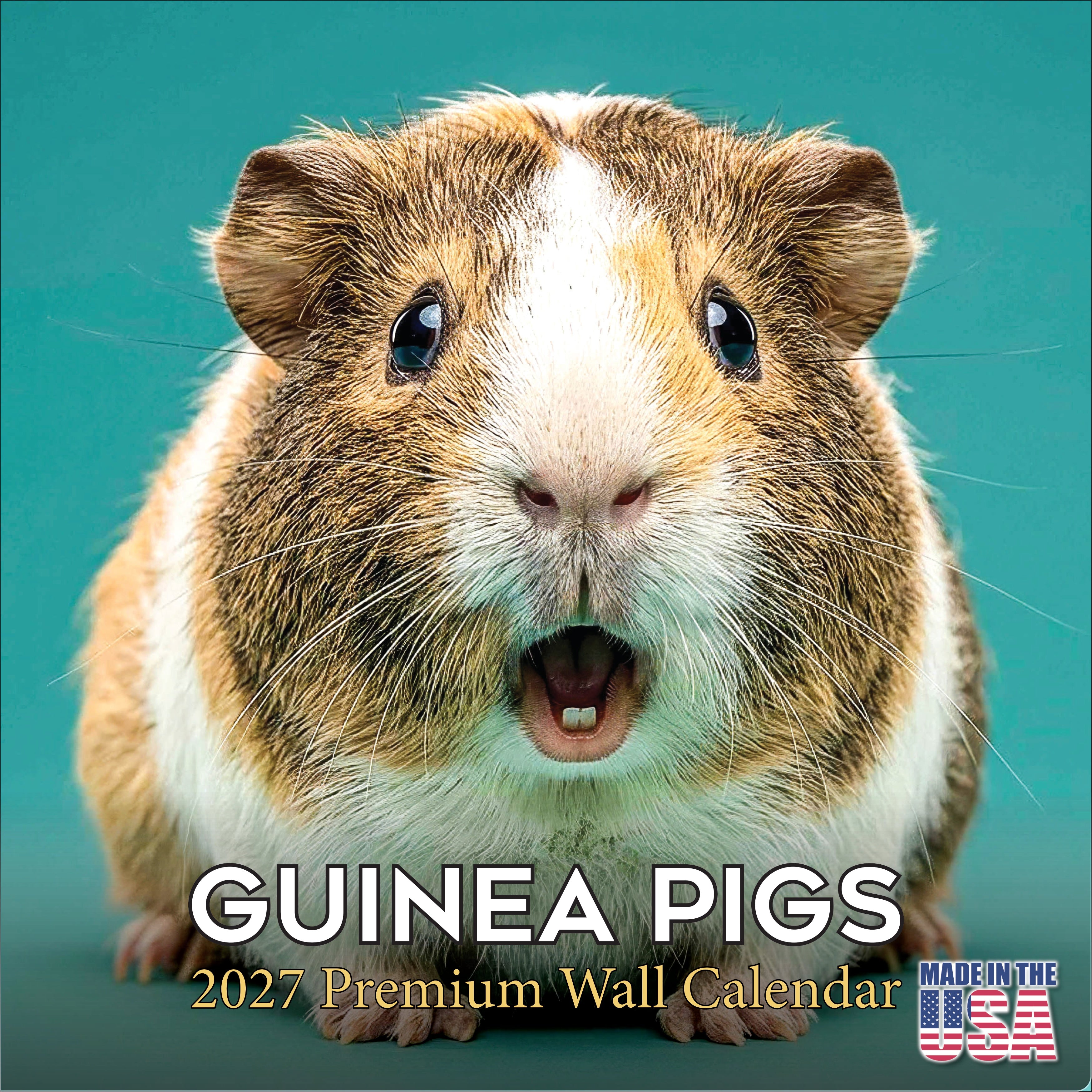 Guinea Pigs Wall Calendar 2027 - 12
