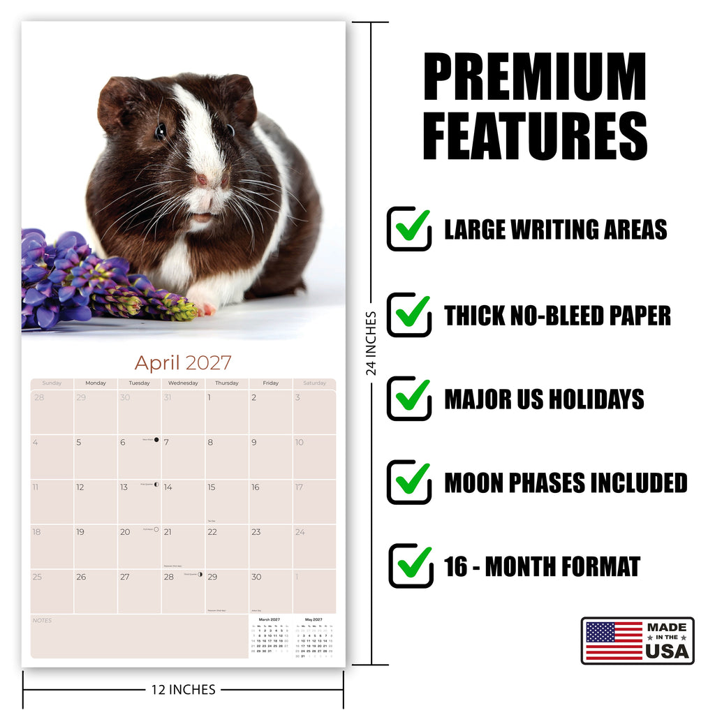 Guinea Pigs Wall Calendar 2027 - 12" x 12" Monthly Cuddly Pets & Small Cavy Companion Calendar