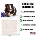Guinea Pigs Wall Calendar 2027 - 12" x 12" Monthly Cuddly Pets & Small Cavy Companion Calendar