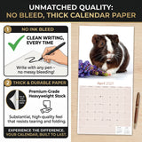 Guinea Pigs Wall Calendar 2027 - 12" x 12" Monthly Cuddly Pets & Small Cavy Companion Calendar