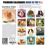 Guinea Pigs Wall Calendar 2027 - 12" x 12" Monthly Cuddly Pets & Small Cavy Companion Calendar