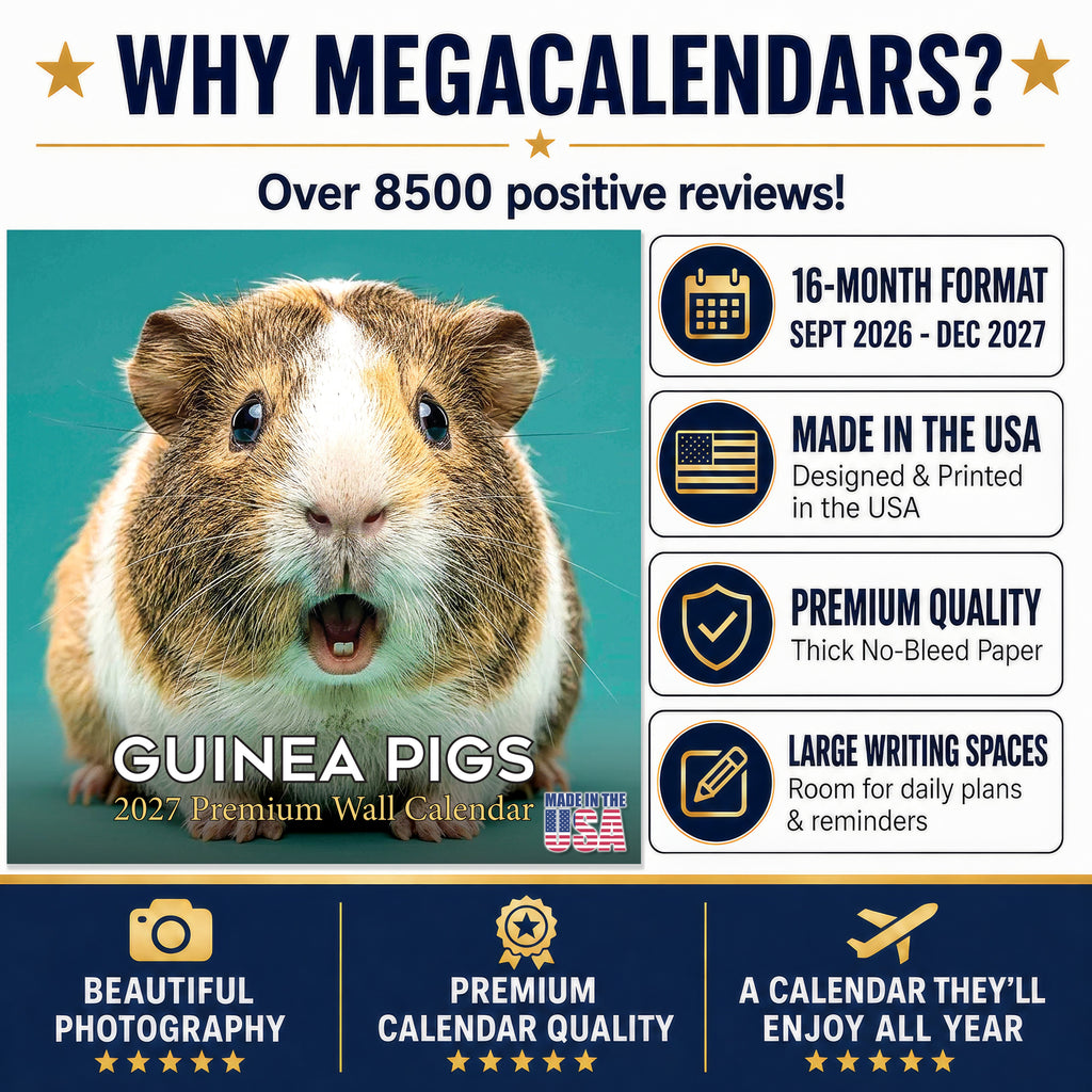 Guinea Pigs Wall Calendar 2027 - 12" x 12" Monthly Cuddly Pets & Small Cavy Companion Calendar
