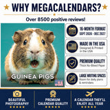Guinea Pigs Wall Calendar 2027 - 12" x 12" Monthly Cuddly Pets & Small Cavy Companion Calendar