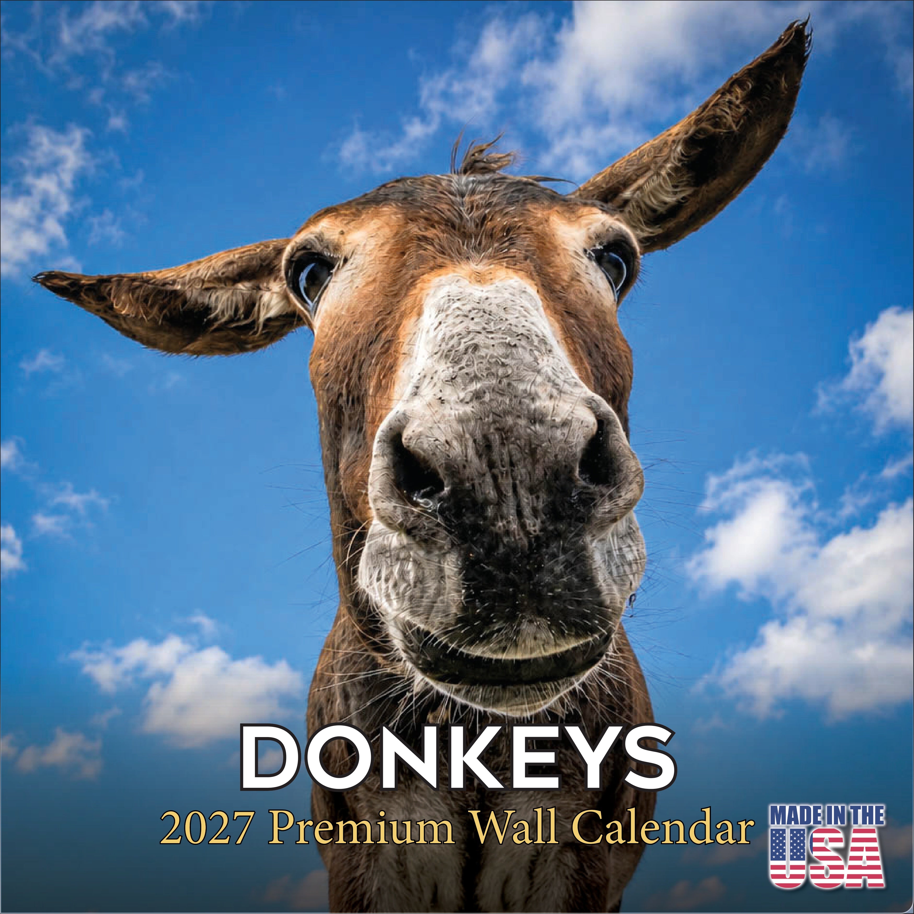 Donkeys Wall Calendar 2027 - 12