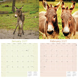 Donkeys Wall Calendar 2027 - 12" x 12" Monthly Charming Farm Equine & Long Eared Donkey Calendar