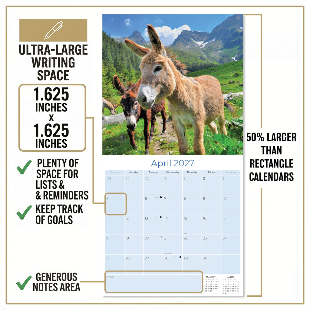 Donkeys Wall Calendar 2027 - 12" x 12" Monthly Charming Farm Equine & Long Eared Donkey Calendar