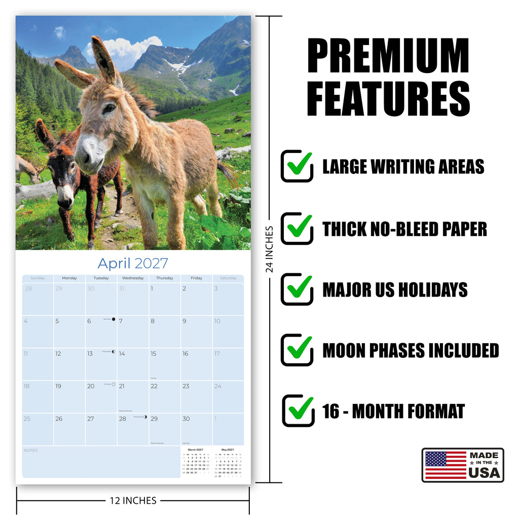 Donkeys Wall Calendar 2027 - 12" x 12" Monthly Charming Farm Equine & Long Eared Donkey Calendar