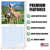 Donkeys Wall Calendar 2027 - 12" x 12" Monthly Charming Farm Equine & Long Eared Donkey Calendar