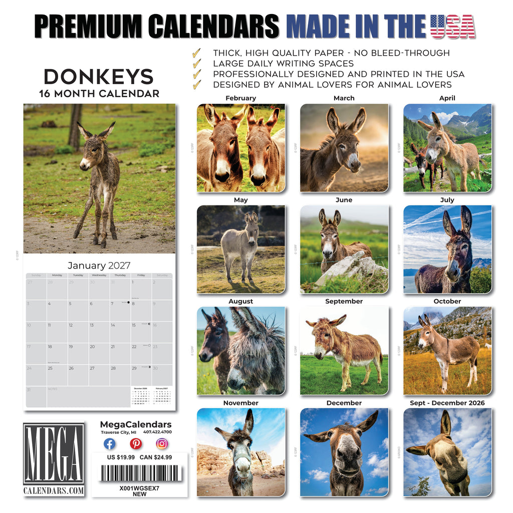 Donkeys Wall Calendar 2027 - 12" x 12" Monthly Charming Farm Equine & Long Eared Donkey Calendar