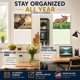 Donkeys Wall Calendar 2027 - 12" x 12" Monthly Charming Farm Equine & Long Eared Donkey Calendar