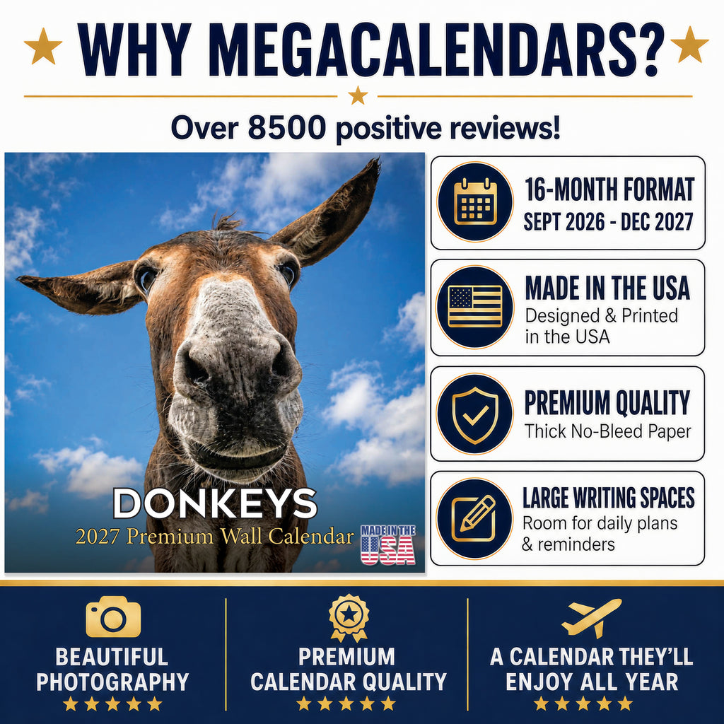 Donkeys Wall Calendar 2027 - 12" x 12" Monthly Charming Farm Equine & Long Eared Donkey Calendar