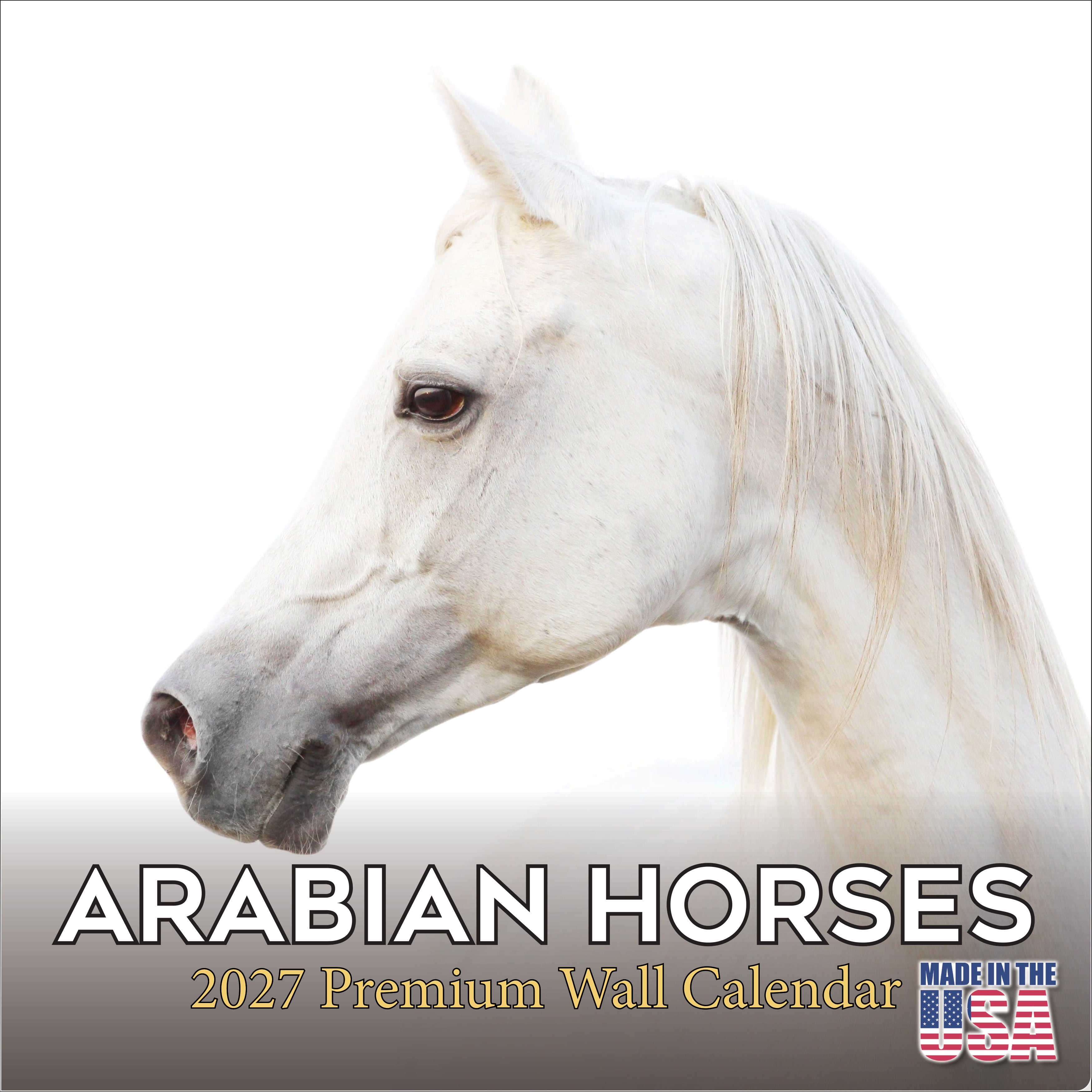 Arabian Horses Wall Calendar 2027 - 12