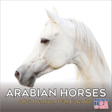 Arabian Horses Wall Calendar 2027 - 12" x 12" Monthly Elegant & Spirited Desert Equine Art Calendar