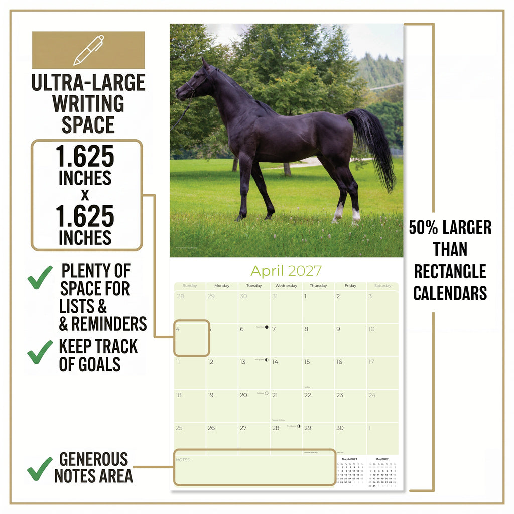 Arabian Horses Wall Calendar 2027 - 12" x 12" Monthly Elegant & Spirited Desert Equine Art Calendar