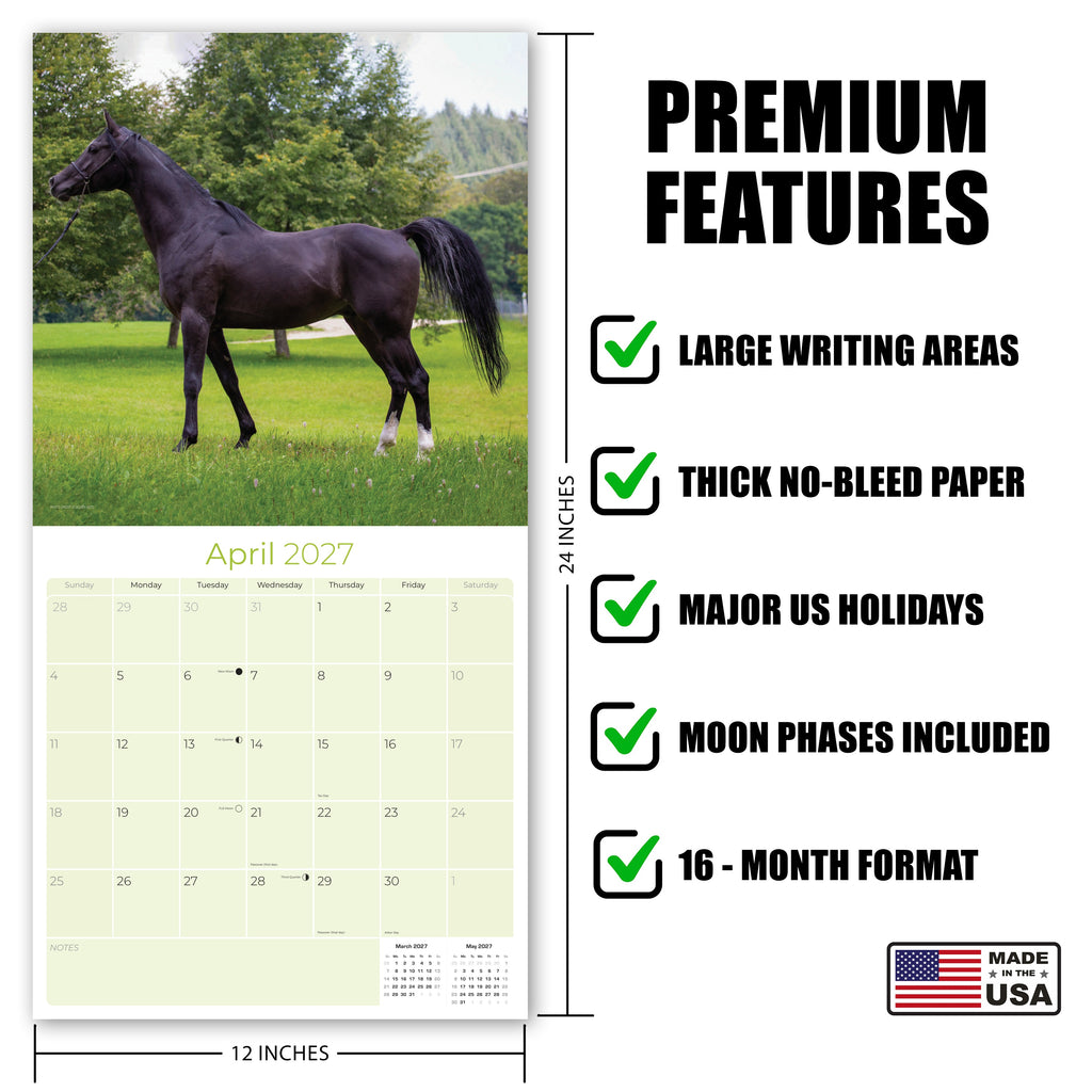 Arabian Horses Wall Calendar 2027 - 12" x 12" Monthly Elegant & Spirited Desert Equine Art Calendar