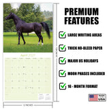 Arabian Horses Wall Calendar 2027 - 12" x 12" Monthly Elegant & Spirited Desert Equine Art Calendar