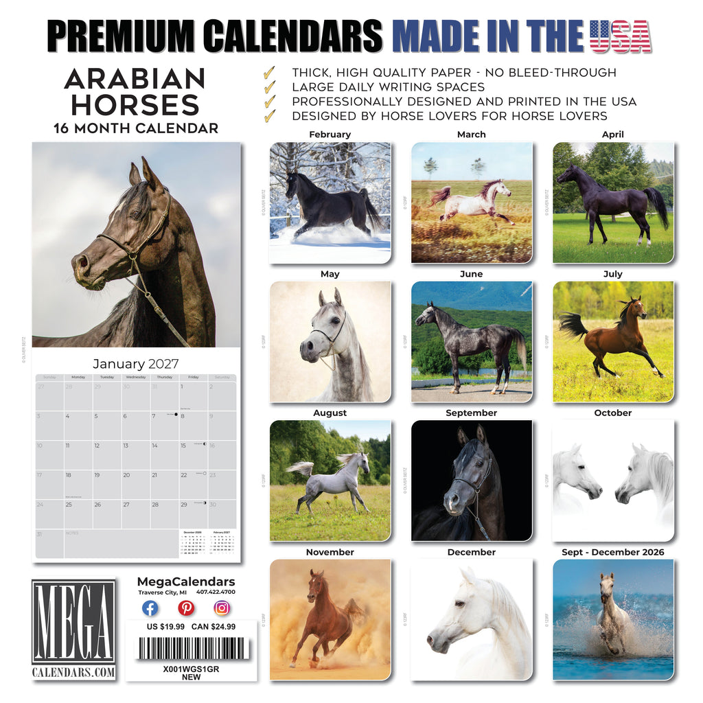 Arabian Horses Wall Calendar 2027 - 12" x 12" Monthly Elegant & Spirited Desert Equine Art Calendar