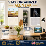 Arabian Horses Wall Calendar 2027 - 12" x 12" Monthly Elegant & Spirited Desert Equine Art Calendar