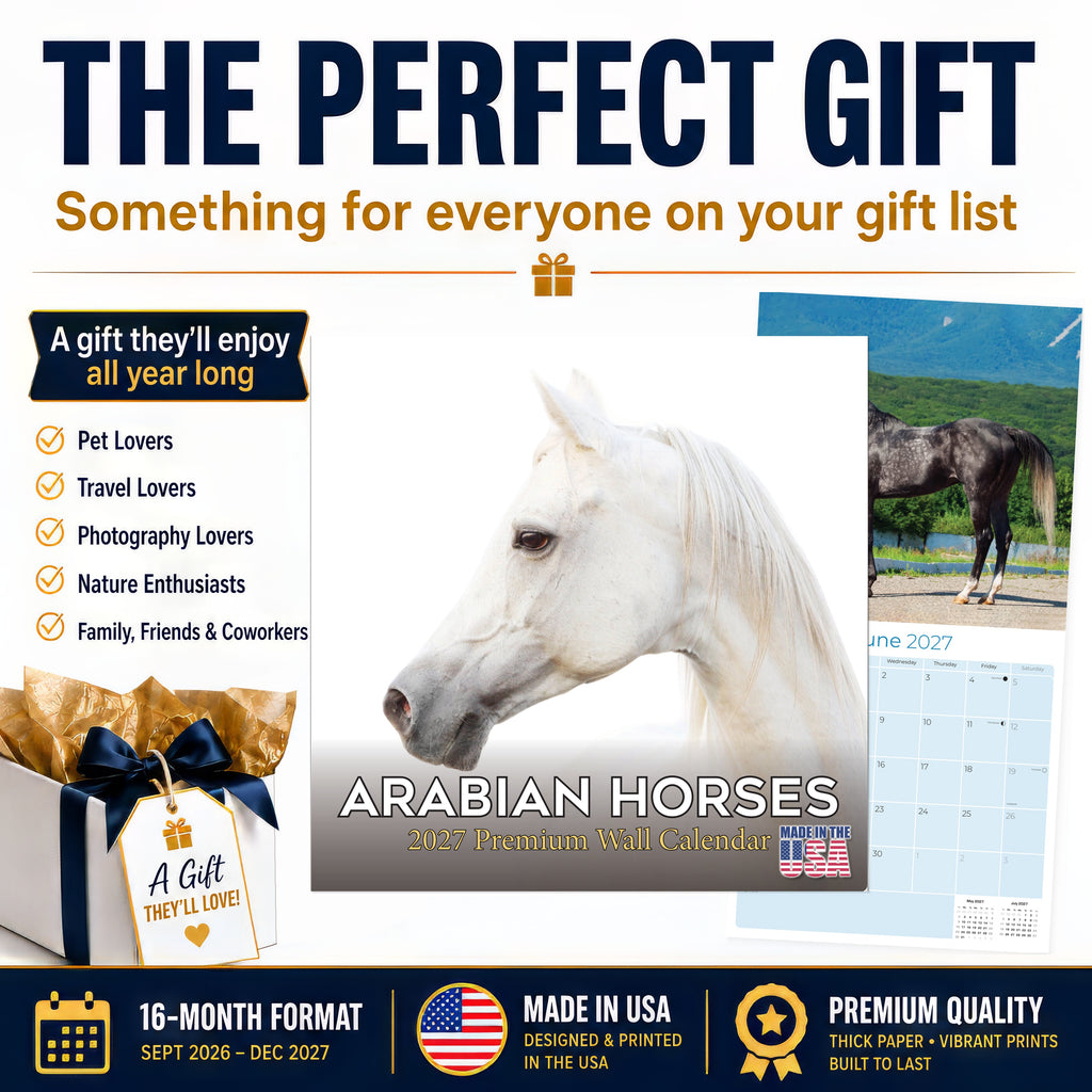 Arabian Horses Wall Calendar 2027 - 12" x 12" Monthly Elegant & Spirited Desert Equine Art Calendar