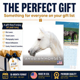 Arabian Horses Wall Calendar 2027 - 12" x 12" Monthly Elegant & Spirited Desert Equine Art Calendar