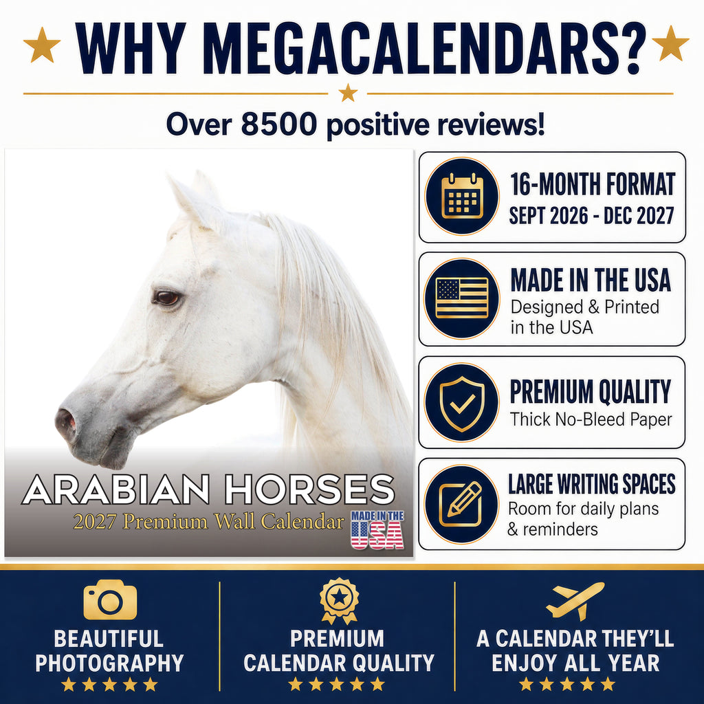 Arabian Horses Wall Calendar 2027 - 12" x 12" Monthly Elegant & Spirited Desert Equine Art Calendar