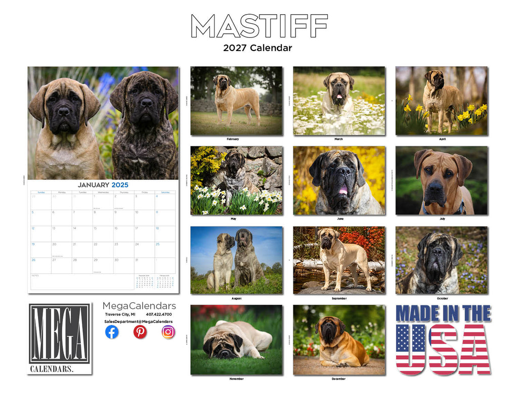 Mastiff Wall Calendar 2027 - 12" x 9" 14-Month Dog Breed Calendar