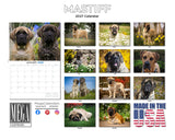 Mastiff Wall Calendar 2027 - 12" x 9" 14-Month Dog Breed Calendar