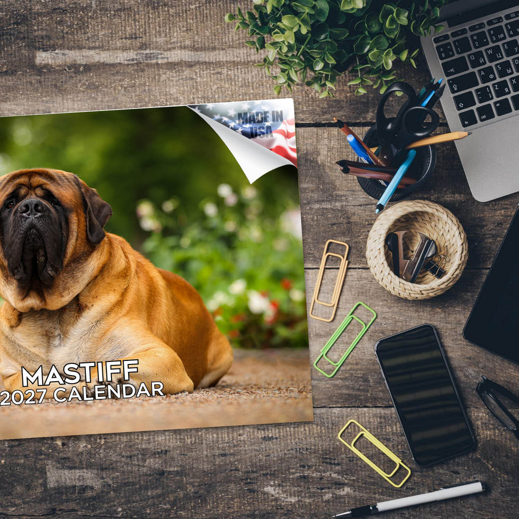 Mastiff Wall Calendar 2027 - 12" x 9" 14-Month Dog Breed Calendar