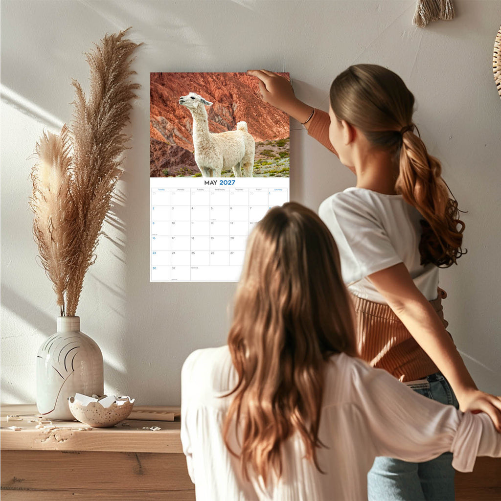 Alpacas Wall Calendar 2027 - 12" x 9" 14-Month Fluffy Animal Calendar